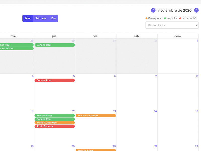 calednario citas de pacientes